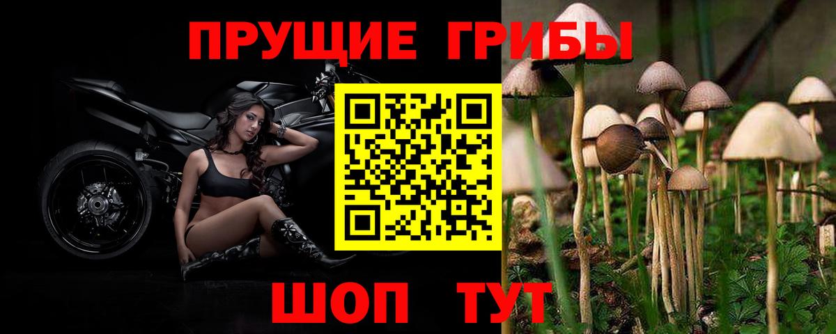 Протвино  Псилоцибиновые грибы MAGIC MUSHROOMS  Галлюциногенные грибы MAGIC MUSHROOMS  где купить   Вход с VPN 